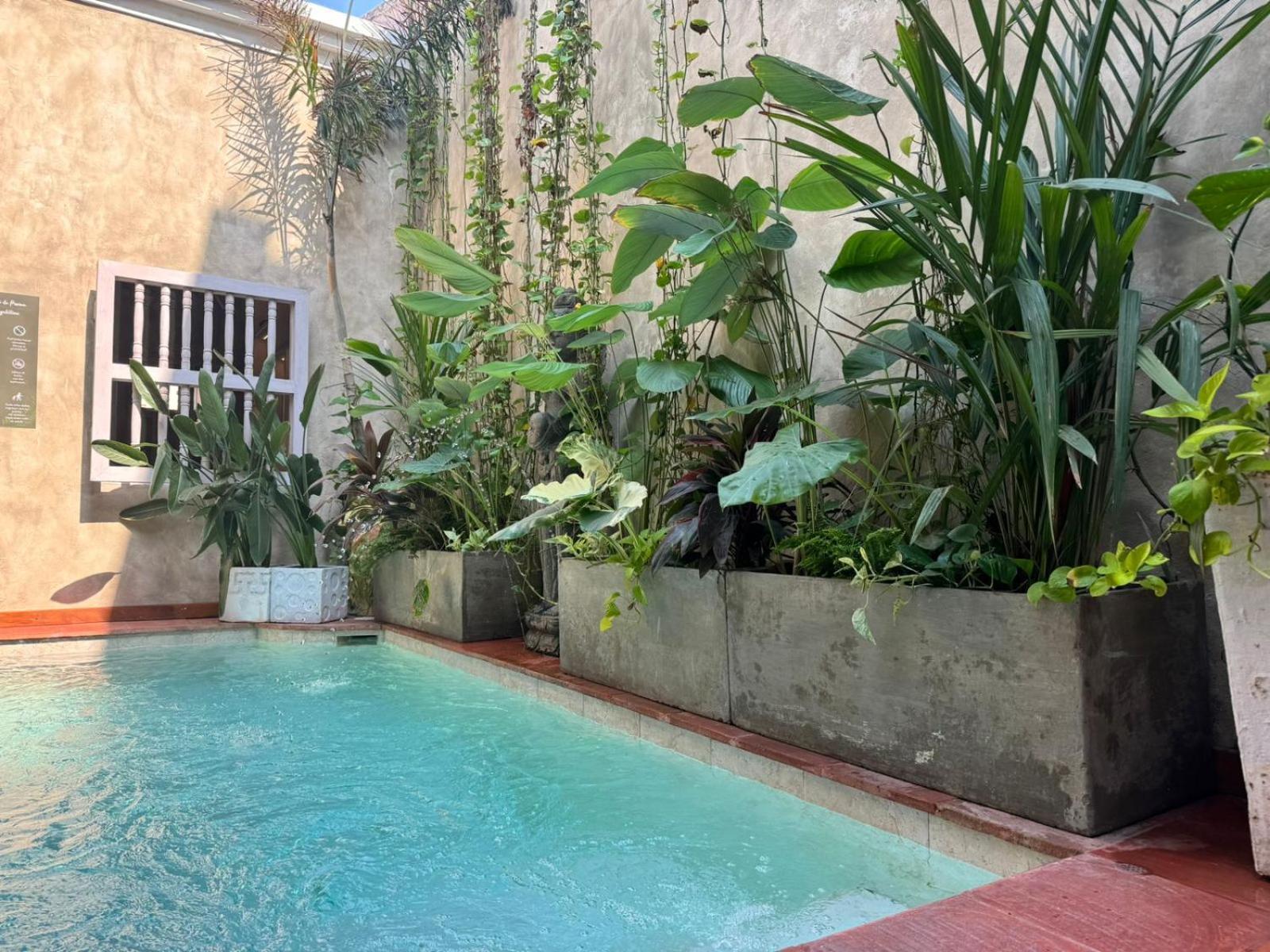 Moet Cartagena Hotel Boutique Adutls Only Exterior foto